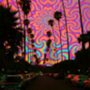 Meet your Posher, Esmeralda